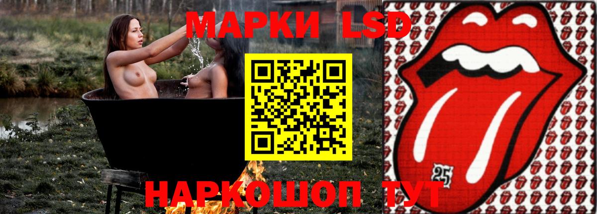 Электрогорск  ЛСД экстази  Лсд 25 экстази ecstasy  Вход с VPN  ЛСД экстази ecstasy 