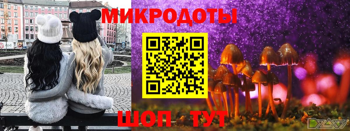 Галлюциногенные грибы Psilocybine cubensis  Псилоцибиновые грибы Psilocybine cubensis  Вход с VPN  Электрогорск 